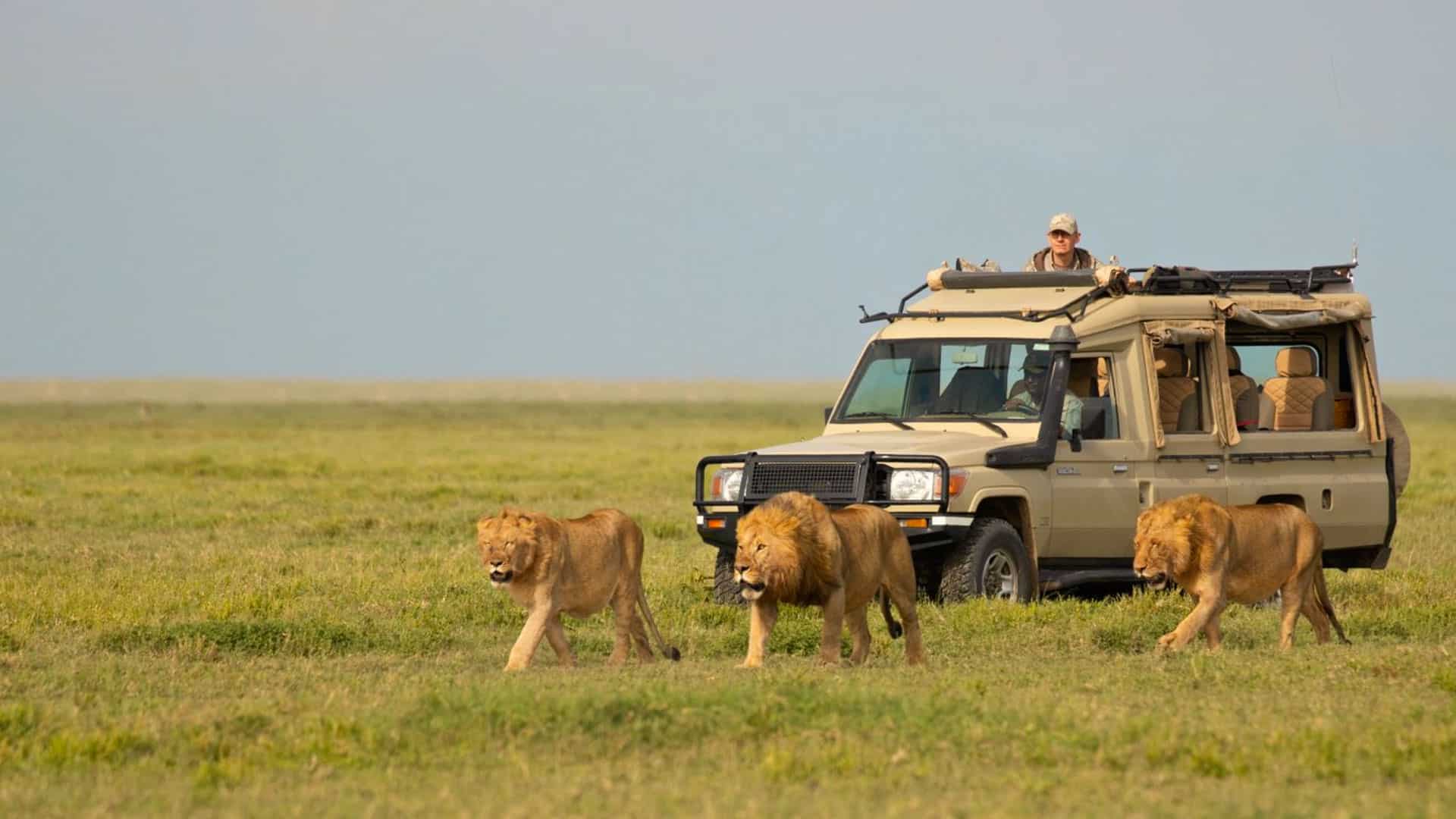 Tanzania Adventure Awaits with Ear Dell'Africa